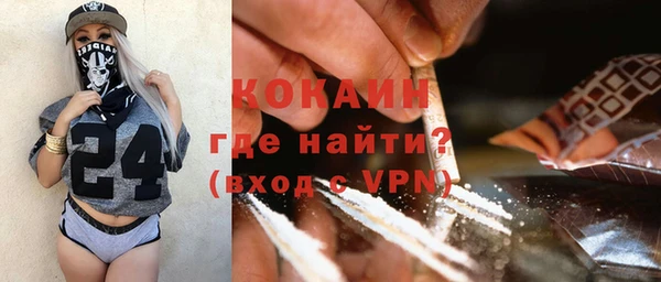 стаф Верея