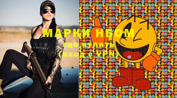 стаф Верея