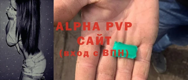 стаф Верея