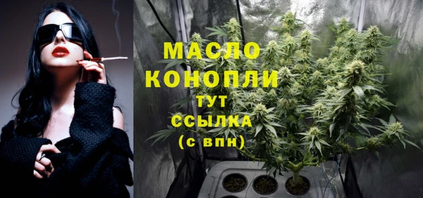 стаф Верея