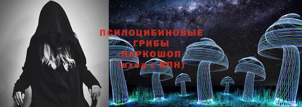 стаф Верея