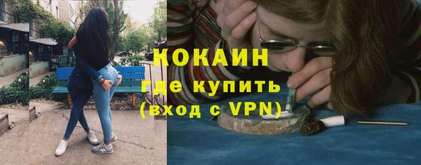 стаф Верея