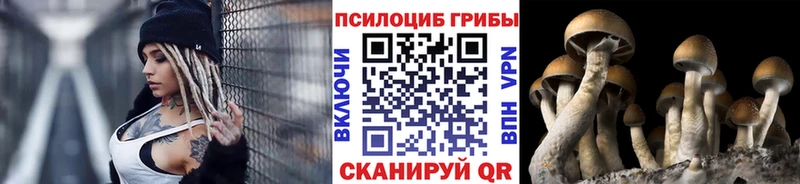Псилоцибиновые грибы Psilocybe  Купить  Краснотурьинск 